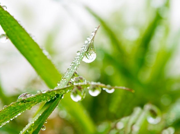 Règlementation sur l’utilisation de l’eau de pluie