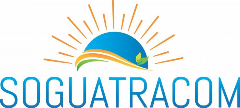 logo vectorise 768x346