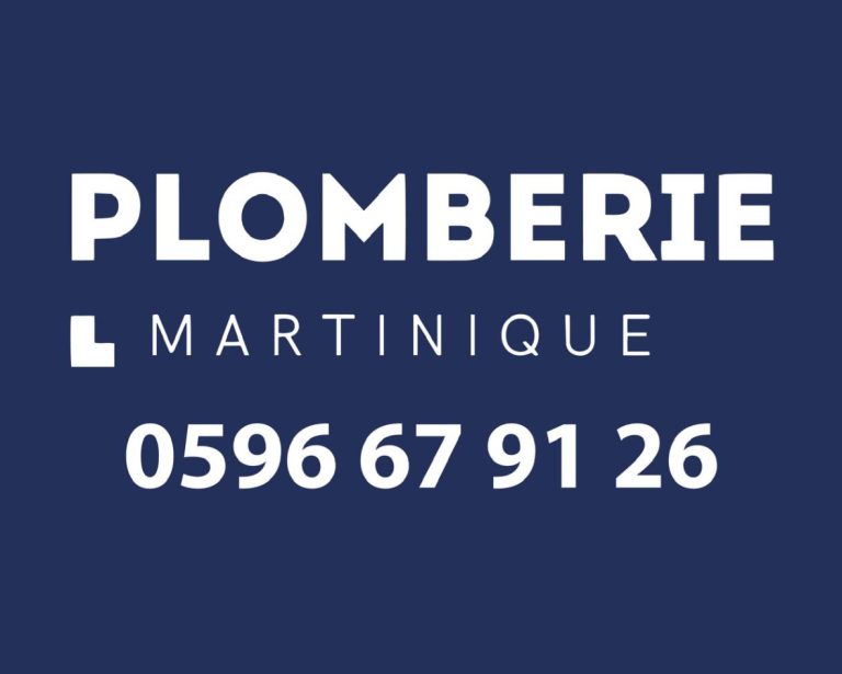 plomberie martinique distribution 1 768x615